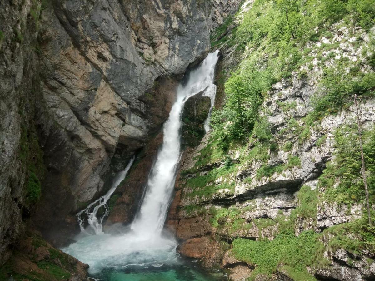 House Budkovic Bohinj Dış mekan fotoğraf